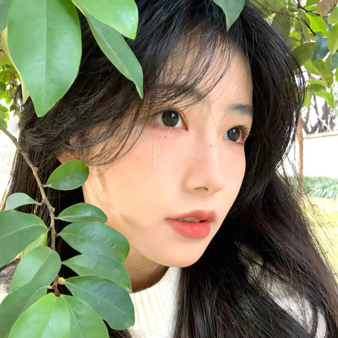 大宋少年志