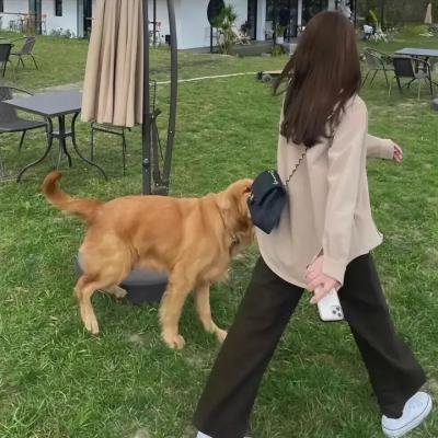 青囊传